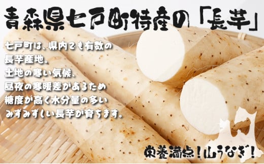 【3か月定期便】ねばりまこと芋（ネバリスター）4kg　（真空パック包装）【青森県 七戸町 送料無料 長芋 山芋 イチョウ芋 大和芋 粘り 小分け 個包装 便利 プレーン 無添加 とろろ 栄養 ご飯のお供】【02402-0293】