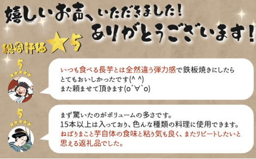 【3か月定期便】ねばりまこと芋（ネバリスター）4kg　（真空パック包装）【青森県 七戸町 送料無料 長芋 山芋 イチョウ芋 大和芋 粘り 小分け 個包装 便利 プレーン 無添加 とろろ 栄養 ご飯のお供】【02402-0293】