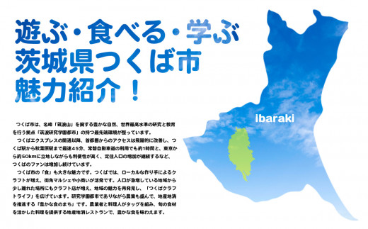 ＜つくば市＞HAL(R)腰タイプ作業支援用装着体験(2名様)【 ハル ロボットスーツ 腰サポート 体験チケット 茨城県 つくば市 利用チケット ロボットテクノロジー ヘルスケア リハビリテーション 】