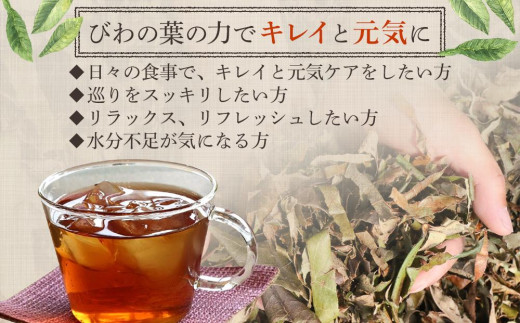 【 定期便 全6回 】 ねじめびわ茶 ボトル缶 12ケース ≪ 1回あたり48本 (24本入り×2箱) ≫ 2か月おきにお届け