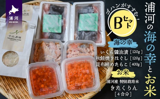 「いくら醤油漬」「秋鮭焼きほぐし」「昆布締めたらこ」と浦河町の特別栽培米「きたくりん」(4合分)のセットです。