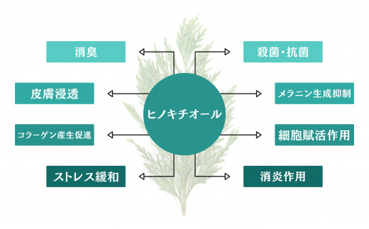 S231 薬用ボディシャンプー＆全身肌水　医薬部外品（厚生省承認）