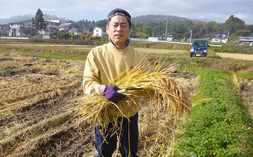 《 新米 》【 6ヶ月定期便 】《 令和6年産 》 無洗米 つや姫 6kg （ 2kg × 3袋 ）× 6回 計 36kg 2024年産 ブランド米 農家直送