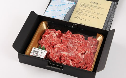 【年内順次発送】飛騨牛  赤身スライス  700g　 国産 牛肉 ブランド牛 牛 赤身 下呂 飛騨牛 スライス 【冷凍】年内配送 年内発送 年内に届く 年内お届け