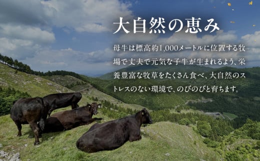 【年内順次発送】飛騨牛  赤身スライス  700g　 国産 牛肉 ブランド牛 牛 赤身 下呂 飛騨牛 スライス 【冷凍】年内配送 年内発送 年内に届く 年内お届け