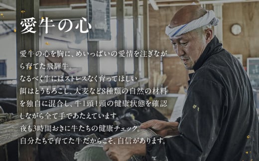 【年内順次発送】飛騨牛  赤身スライス  700g　 国産 牛肉 ブランド牛 牛 赤身 下呂 飛騨牛 スライス 【冷凍】年内配送 年内発送 年内に届く 年内お届け