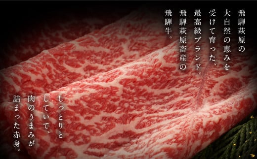 【年内順次発送】飛騨牛  赤身スライス  700g　 国産 牛肉 ブランド牛 牛 赤身 下呂 飛騨牛 スライス 【冷凍】年内配送 年内発送 年内に届く 年内お届け