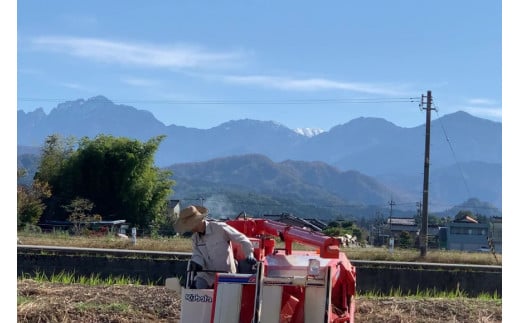 米 富山県産 自然栽培米 コシヒカリ 精米 10kg×1袋  [3ways 富山県 上市町 32280142] お米 コメ 白米 ご飯 ごはん こしひかり