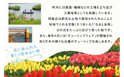 【返礼品なし】徳島県北島町への応援寄附 1口 5,000円 [北島町役場 徳島県 北島町 29ba0003] 寄附 寄付 応援 純粋寄附 寄附のみ 寄付のみ 返礼品なし 支援