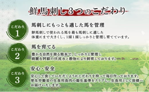 馬刺し 熊本 ユッケ 霜降り 鮮馬刺し スライス 4種 バラエティーセット 食べ比べ 馬刺 馬肉 肉 お肉 冷凍