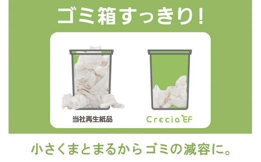 《3ヶ月ごとに4回お届け》定期便 ハンドタオル クレシアEF ソフトタイプ200 スリムEX 2枚重ね 200組(400枚)×8パック 最短翌日発送 秋田市オリジナル【レビューキャンペーン中】