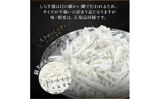 しらす 訳あり 2kg 1kg×2箱 しらす干し シラス ごはん おかず チャーハン パスタ 料理 大きめ 産地直送 ランキング こだわり 鮮度 天塩 マル伊商店 愛知県 南知多町