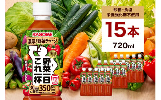 カゴメ　野菜一日これ一杯　720mlPET×15本【 飲料 野菜ジュース 栃木県 那須塩原市 】 ns001-032