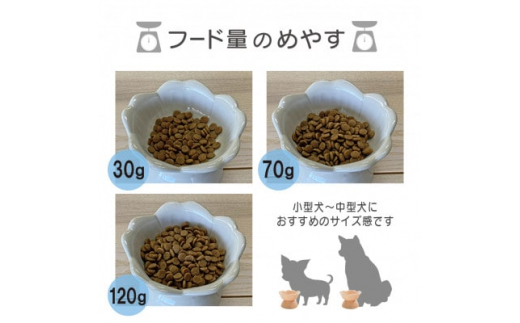 美濃焼　陶器製 ペット用＜フラワーシェイプ花形高台フードボウル/アップルグリーンpet135＞【1427806】