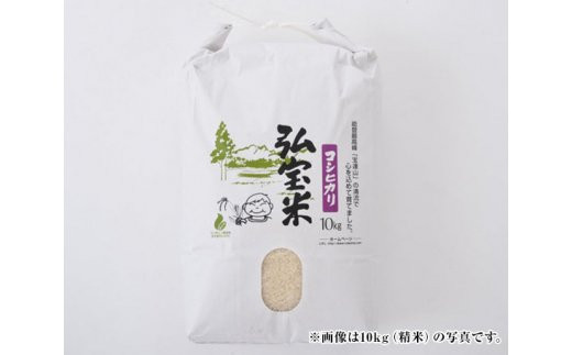 【期間限定発送】 米 コシヒカリ 「弘宝米」 精米 10kg ×2袋 計 20kg [中西農場 石川県 宝達志水町 38600983] お米 白米 こしひかり 美味しい 農家 直送 20キロ 石川 能登