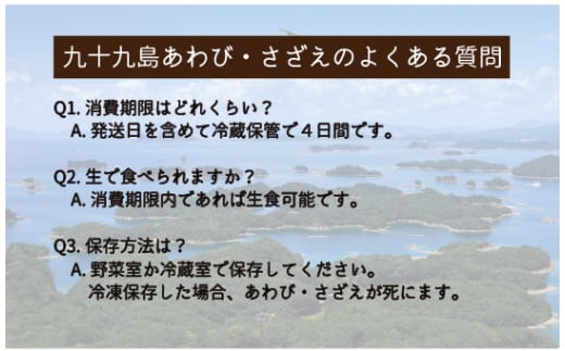 A180p 九十九島あわび(1,400g)･さざえ(1,400g)