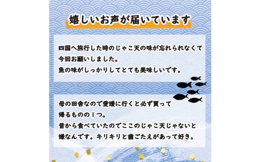 山田のじゃこ天 55枚 じゃこ天 すり身 さつま揚げ 郷土料理 おつまみ 肴 魚肉練り製品 揚げかまぼこ 愛媛県 南予 愛南町 特産品 お取り寄せ 送料無料 おいしい