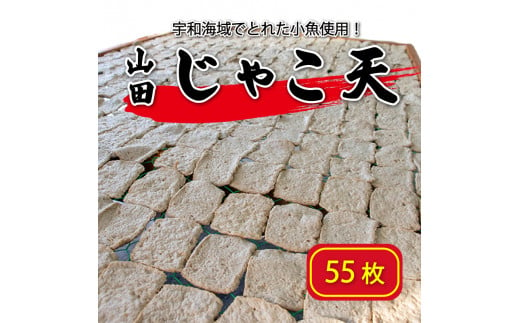 山田のじゃこ天 55枚 じゃこ天 すり身 さつま揚げ 郷土料理 おつまみ 肴 魚肉練り製品 揚げかまぼこ 愛媛県 南予 愛南町 特産品 お取り寄せ 送料無料 おいしい