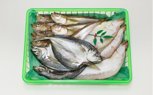 【ふるさと納税】宮津練り物・干物詰合せ 魚貝類 魚 地魚 一夜干し 干物 ひもの 詰め合わせ セット ちくわ かまぼこ 蒲鉾 天ぷら [№5716-0081]