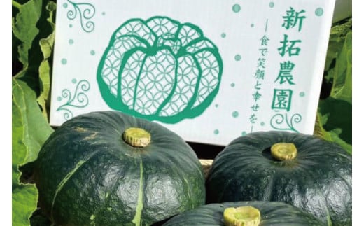 【数量限定】新拓農園のこだわり秋冬かぼちゃＭセット 【野菜 やさい カボチャ 1万円以内 10000円以内 ほくほく 甘い おいしい パンプキン 国産 産地直送 期間限定 季節限定 茨城県 鹿嶋市】（KDC-2）