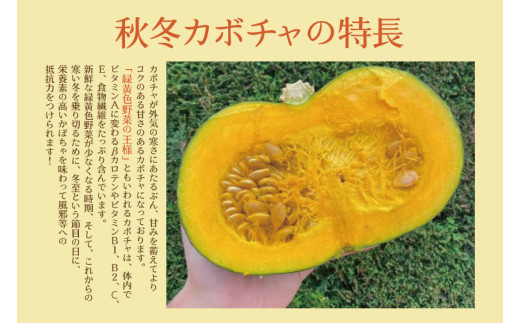 【数量限定】新拓農園のこだわり秋冬かぼちゃＭセット 【野菜 やさい カボチャ 1万円以内 10000円以内 ほくほく 甘い おいしい パンプキン 国産 産地直送 期間限定 季節限定 茨城県 鹿嶋市】（KDC-2）