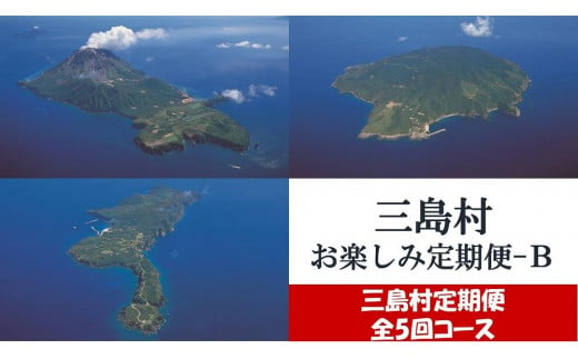 【定期便/全５回-5カ月連続お届け】三島村からのお届けお楽しみ定期便-B（焼酎720ml×2本・肩肉270g・椿うどん200g×5袋・赤身ブロック400g・モモ肉250g）