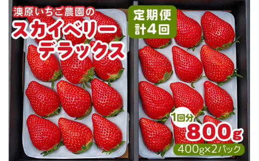 [2024年12月～発送][4ヶ月連続定期便] 澳原いちご農園のスカイベリーデラックス定期便 (毎月お届け 計4回)｜いちご イチゴ 苺 フルーツ 果物 産地直送 栃木県産 先行予約 [0483]