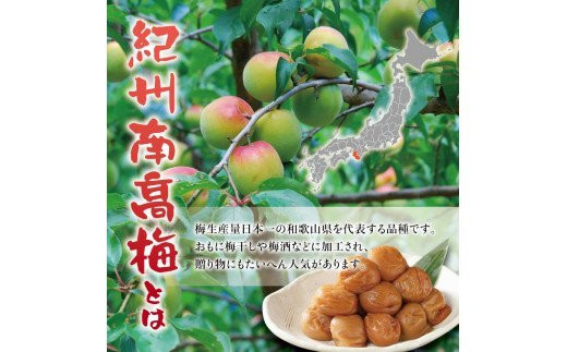 紀州南高梅 つぶれ梅 うす塩【ハチミツ入】塩分10%（500g）なかやまさんちの梅干 梅干し 梅干 梅 うめ ウメ【nky017-105k】