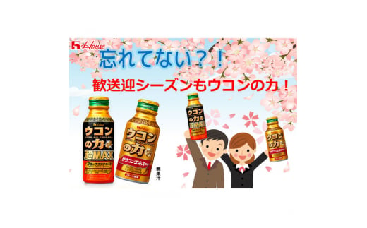 ハウスウェルネスフーズ ウコンの力 超MAX 120ml ボトル缶 1セット（ 6本 ）　飲料 ドリンク ウコンの力 ウコン ウコンエキスドリンク 飲み会 お酒 二日酔い 兵庫県 伊丹市 [№5275-0532]