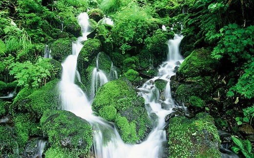 FYN9-798 ≪期間限定≫ 【山形の極み】山形県西川町産 月山自然水 月光の水 40本（20本入×2箱） 天然水 自然水 ミネラルウォーター 飲料水 軟水 水 ペットボトル ドリンク 月山 保存 防災 キャンプ アウトドア