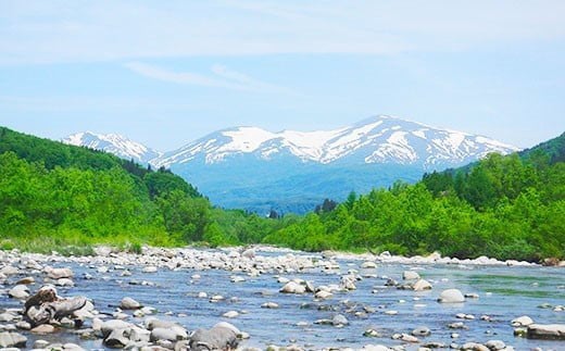 FYN9-798 ≪期間限定≫ 【山形の極み】山形県西川町産 月山自然水 月光の水 40本（20本入×2箱） 天然水 自然水 ミネラルウォーター 飲料水 軟水 水 ペットボトル ドリンク 月山 保存 防災 キャンプ アウトドア