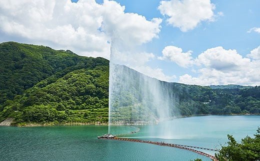 FYN9-798 ≪期間限定≫ 【山形の極み】山形県西川町産 月山自然水 月光の水 40本（20本入×2箱） 天然水 自然水 ミネラルウォーター 飲料水 軟水 水 ペットボトル ドリンク 月山 保存 防災 キャンプ アウトドア