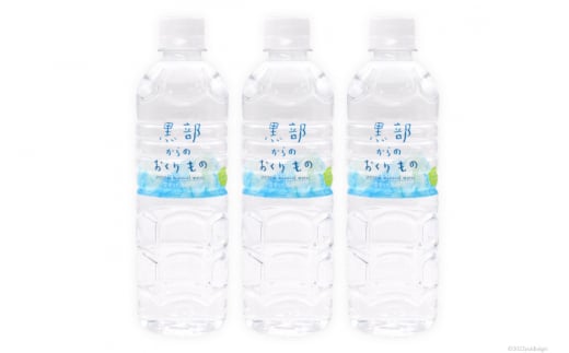 [№5313-0182]【48本】黒部からのおくりもの 500ml×24本×2ケース 水 飲料水 名水 ミネラルウォーター 2個口配送/IAC/富山県 黒部市