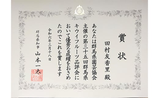 ＜先行予約＞ 群馬県知事賞 最高賞受賞「A品数量限定」下仁田町のキウイフルーツ 約3.6kg(1玉2Lサイズ135g以上) キウイ フルーツ キウイフルーツ デザート 果物 贈答品としても人気！ F21K-360