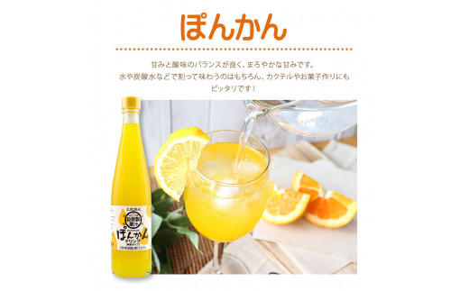 オレンジ園の濃縮ジュース ぽんかん 500ml 3本 12回定期便 希釈用 みかんジュース チューハイ用 ドリンク ジュース 柑橘類 蜜柑 みかん【J00118】