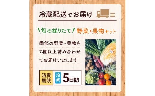 野菜セット 旬の採りたて 野菜 フルーツ 詰め合わせ セット 野菜詰め合わせ フルーツ詰め合わせ フルーツセット 季節の野菜 季節の果物 くだもの 果物 果樹 神奈川