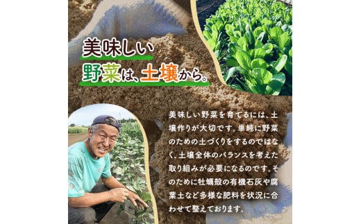 野菜セット 旬の採りたて 野菜 フルーツ 詰め合わせ セット 野菜詰め合わせ フルーツ詰め合わせ フルーツセット 季節の野菜 季節の果物 くだもの 果物 果樹 神奈川