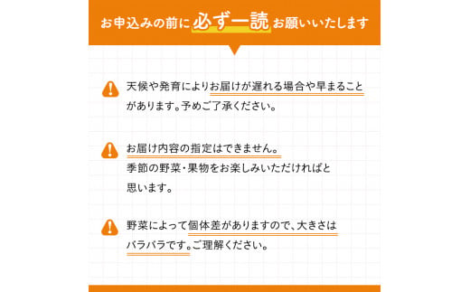 野菜セット 旬の採りたて 野菜 フルーツ 詰め合わせ セット 野菜詰め合わせ フルーツ詰め合わせ フルーツセット 季節の野菜 季節の果物 くだもの 果物 果樹 神奈川