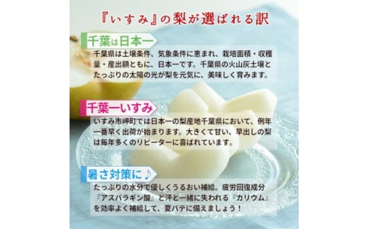 ＜2025年発送先行受付＞いすみ市産あきづき梨　約5kg(11～12個)【1462342】