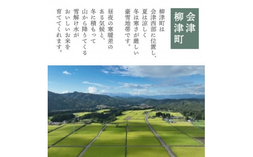 ＜令和6年産＞柳津町産「福、笑い」10kg〈令和7年3月下旬より発送予定〉【1560944】