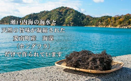 海人の藻塩　スタンドパック（100g）×2パック 5000円 塩 しお 藻塩 も塩 旨味 まろやか 海藻 ホンダワラ チャック付き パック ミネラル 天ぷら 野菜 肉 焼肉 焼き肉 魚 焼魚 豆腐 家庭用 贈答用 贈答 下味  愛南町 愛媛県 朋和商事株式会社 蒲刈物産株式会社