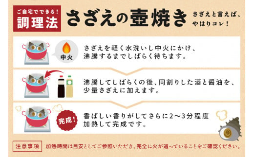 日時指定可【北畿水産　活きたまま発送】京丹後産さざえ1kg（10個から14個）　HK00156