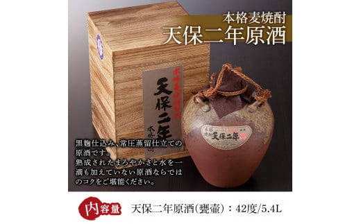 天保二年原酒 甕壷 42度(5.4L)酒 お酒 焼酎 いも焼酎 さつまいも アルコール 黒麹【HM015】【姫泉酒造合資会社】