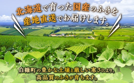 佐藤さん自慢のふきの水煮【200g×5】