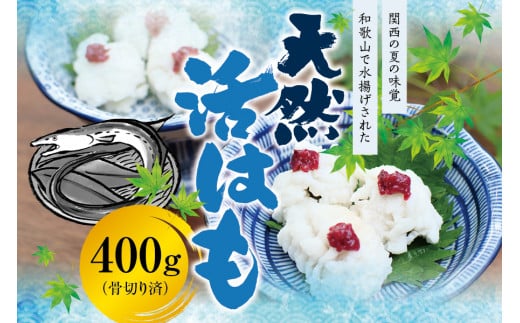 【父の日までにお届け！】国産 骨切り済み 天然活はも 400g 【2024年6月発送】/ 鱧 ハモ 湯引き 和歌山県産 天ぷら しゃぶしゃぶ 鍋【fki400-fd】