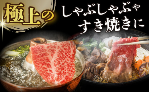 【全2回定期便】【厳選部位】【A4～A5】長崎和牛サーロインしゃぶしゃぶすき焼き用　600g（300g×2p）【株式会社 MEAT PLUS】 [DBS101]