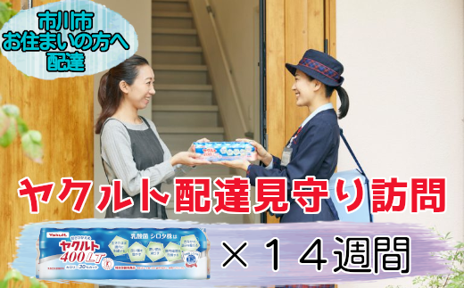 ＜市川市内の訪問限定＞ヤクルト配達見守り訪問(14週間／Yakult400類　98本)　【12203-0188】