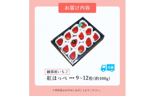 紅ほっぺ 400g（9〜12粒）【 べにほっぺ イチゴ 苺 いちご フルーツ 果物 農家直送 国産 贈答 贈り物 プレゼント お土産 綾部 京都 】