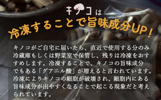 定期便 6回 隔月お届け 質で勝負！ 農薬不使用 雲仙きのこセット 4品目 [吉岡青果 長崎県 雲仙市 item1829] 