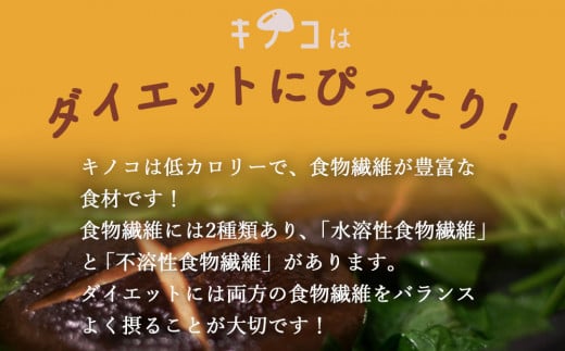 定期便 6回 隔月お届け 質で勝負！ 農薬不使用 雲仙きのこセット 4品目 [吉岡青果 長崎県 雲仙市 item1829] 